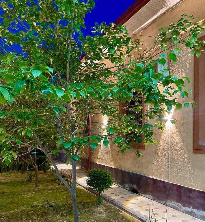 Hotel Amor Fati Taskent Exterior foto